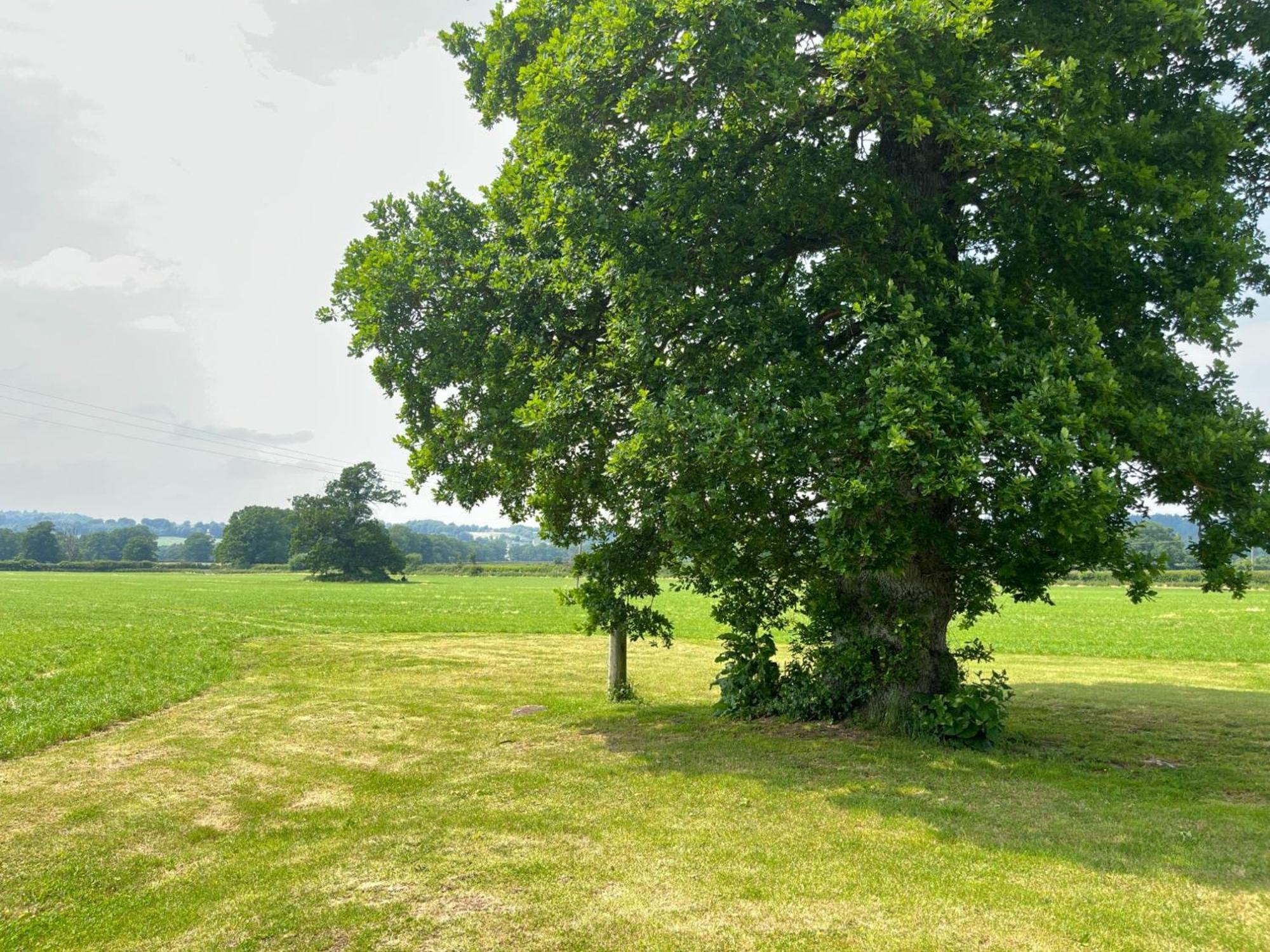 Pass The Keys Hare Cottage Wonderful Views And Parking Moreton-in-Marsh Zewnętrze zdjęcie